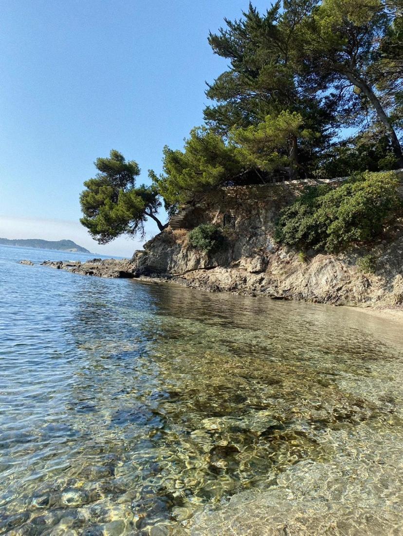 Haut De Villa Entre Mer Et Campagne Hyères المظهر الخارجي الصورة